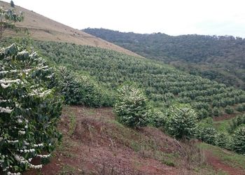 History size img 20161025 wa0007