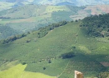 History size sertaozinho 078.2 jpg