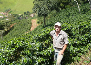 History size sertaozinho 081